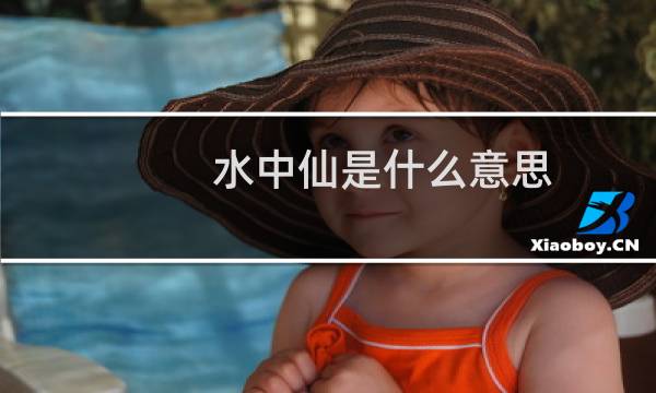 水中仙是什么意思（水中仙歌词）图片