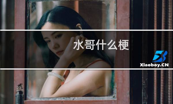 水哥什么梗