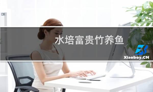 水培富贵竹养鱼