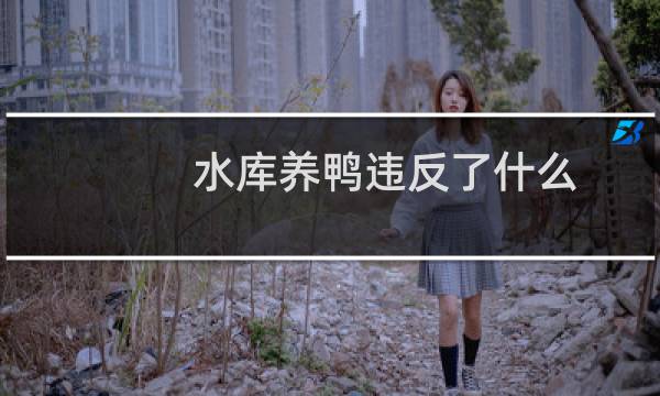 水库养鸭违反了什么