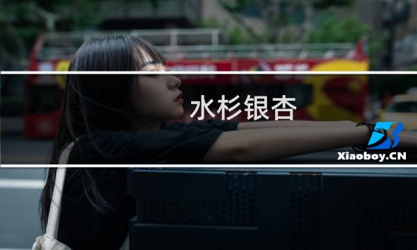 水杉银杏