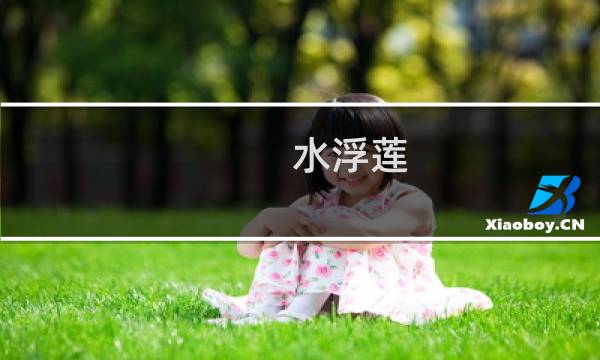 水浮莲（廉江特产）