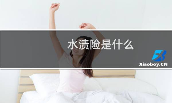 水渍险是什么