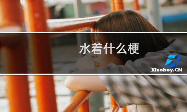 水着什么梗