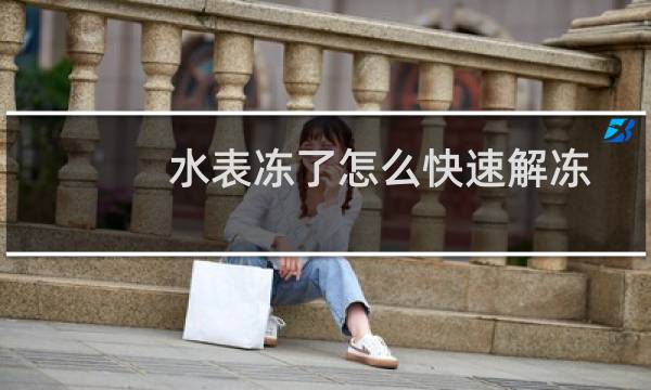 水表冻了怎么快速解冻（水表冻了怎么处理）
