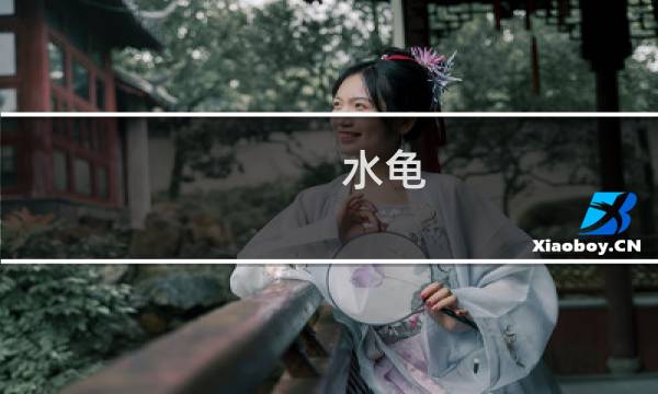 水龟