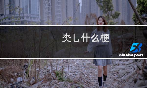 氼乚什么梗