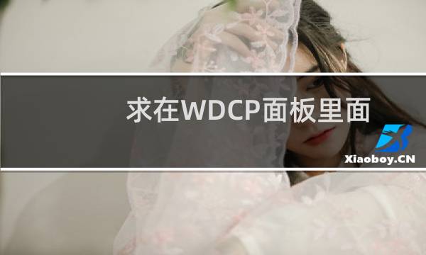 求在WDCP面板里面修改站点域名的教程