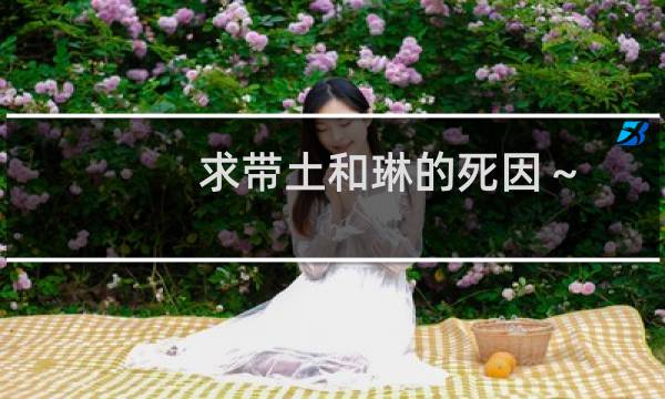 求带土和琳的死因～