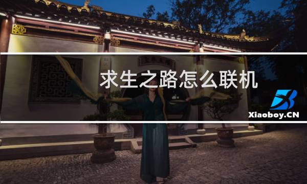 求生之路怎么联机