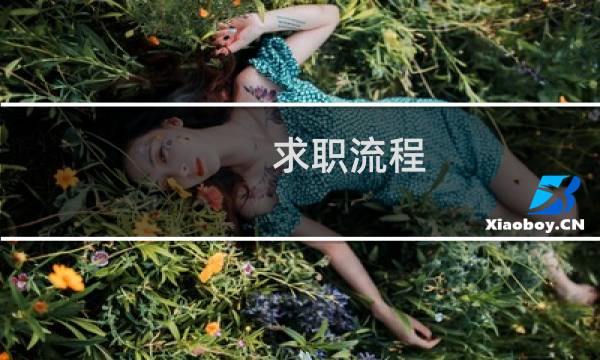 求职流程图片