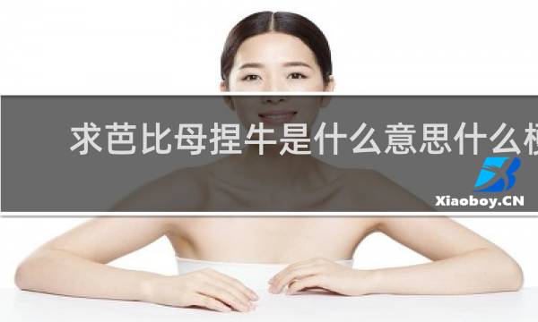求芭比母捏牛是什么意思什么梗