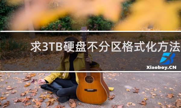 求3TB硬盘不分区格式化方法