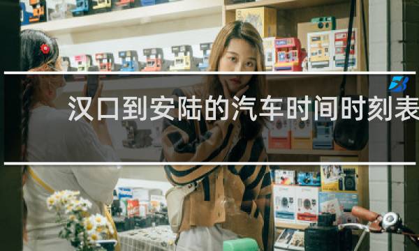 汉口到安陆的汽车时间时刻表的图片