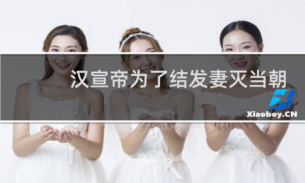 汉宣帝为了结发妻灭当朝皇后一族