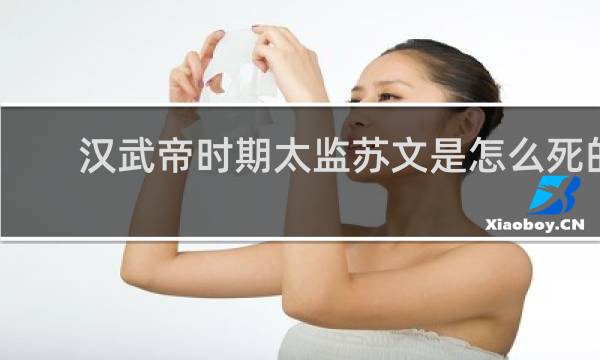 汉武帝时期太监苏文是怎么死的