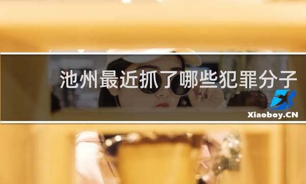 池州最近抓了哪些犯罪分子