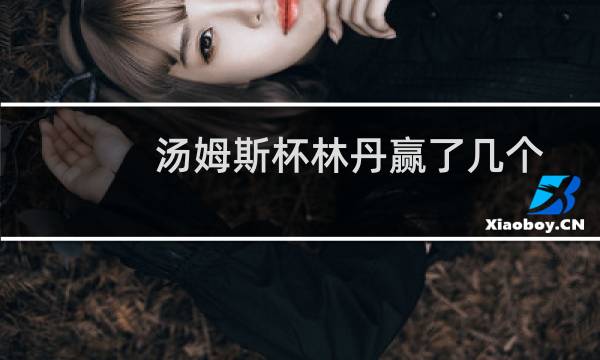 汤姆斯杯林丹赢了几个
