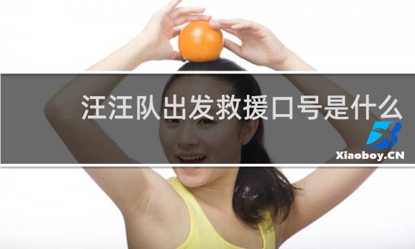 汪汪队出发救援口号是什么