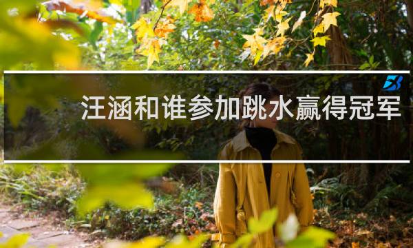 汪涵和谁参加跳水赢得冠军