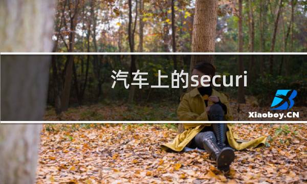 汽车上的security是什么意思（security车上灯亮啥意思）图片