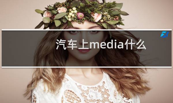 汽车上media什么意思(media车上如何使用)