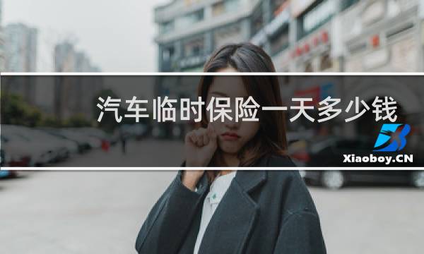 汽车临时保险一天多少钱图片