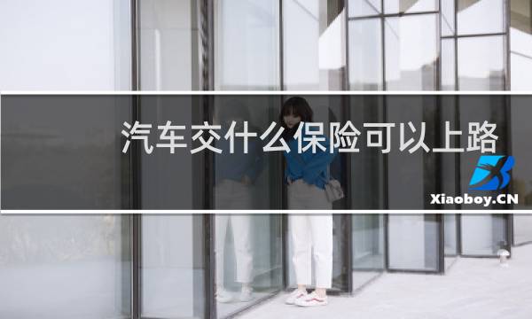 汽车交什么保险可以上路