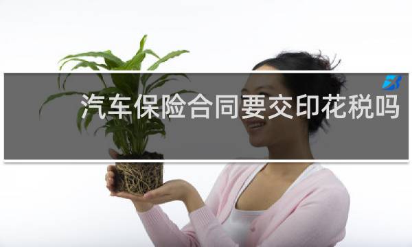 汽车保险合同要交印花税吗图片