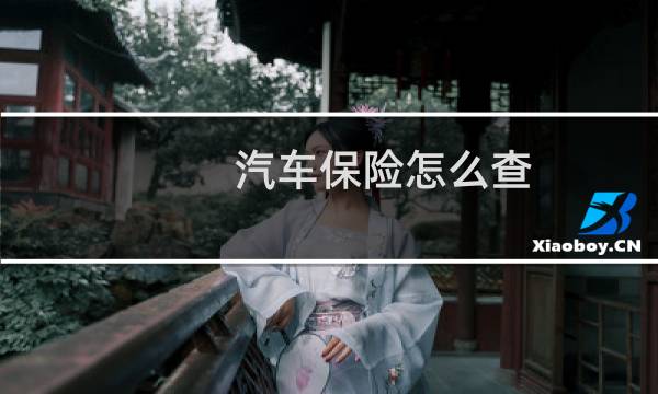 汽车保险怎么查