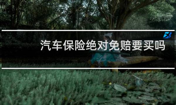 汽车保险绝对免赔要买吗