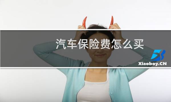汽车保险费怎么买