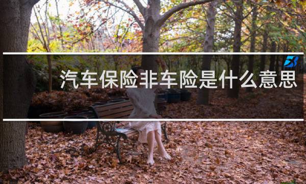 汽车保险非车险是什么意思