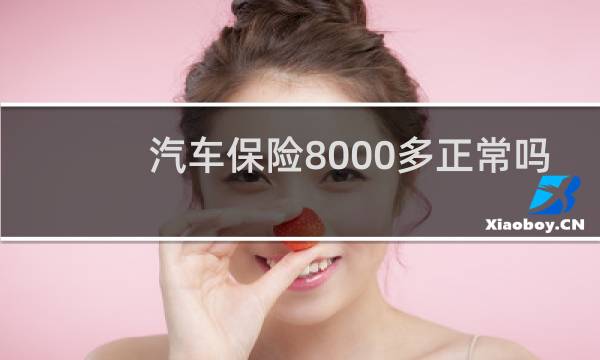 汽车保险8000多正常吗图片