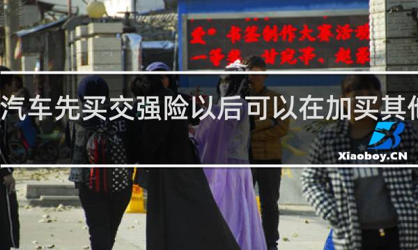 汽车先买交强险以后可以在加买其他险吗