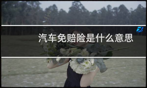 汽车免赔险是什么意思