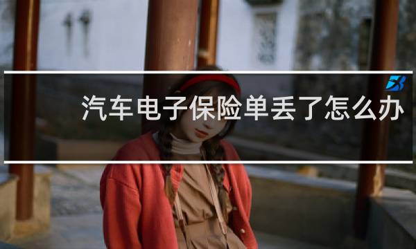 汽车电子保险单丢了怎么办