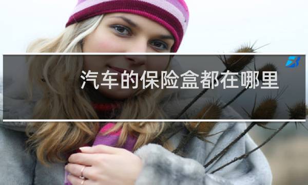 汽车的保险盒都在哪里