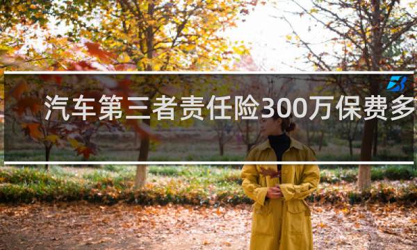 汽车第三者责任险300万保费多少