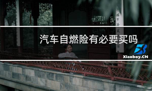 汽车自燃险有必要买吗