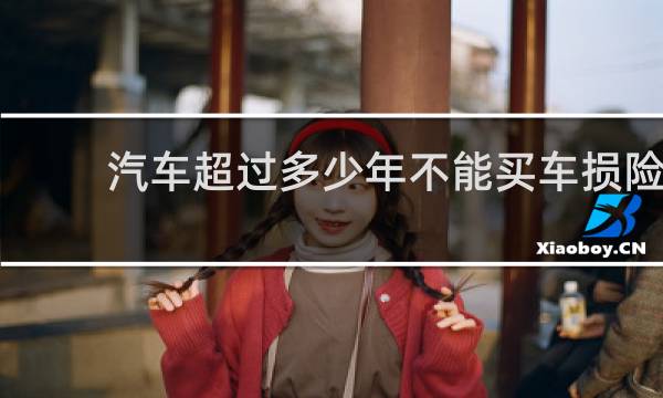 汽车超过多少年不能买车损险