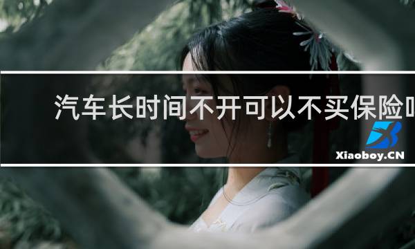 汽车长时间不开可以不买保险吗