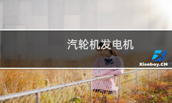 汽轮机发电机
