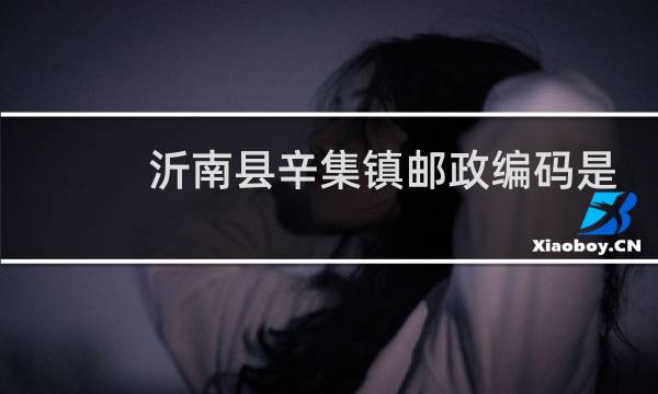 沂南县辛集镇邮政编码是多少