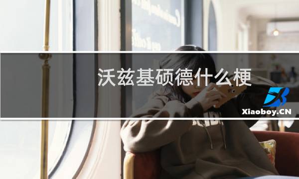 沃兹基硕德什么梗