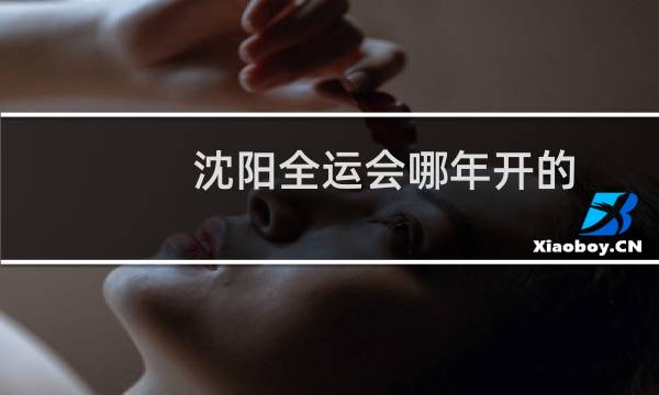 沈阳全运会哪年开的