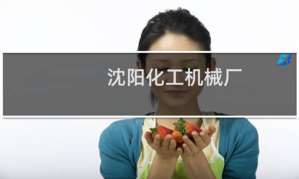 沈阳化工机械厂图片