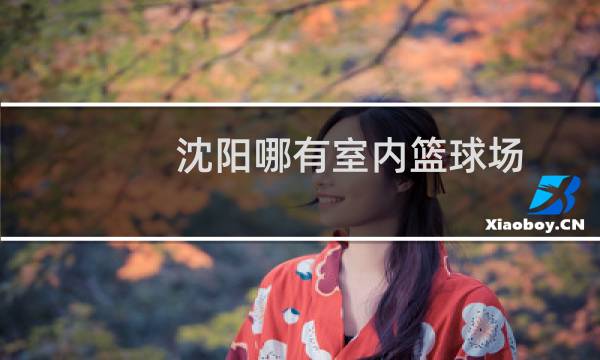 沈阳哪有室内篮球场
