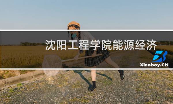 沈阳工程学院能源经济专业好不好 排名多少位 全国第7名