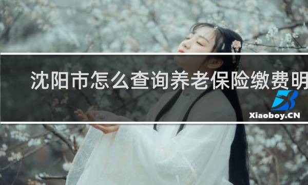 沈阳市怎么查询养老保险缴费明细